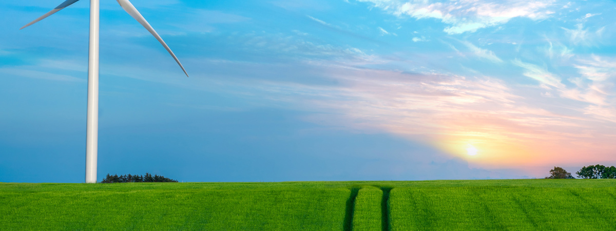 Kraftig vækst i ”øremærkede” obligationer