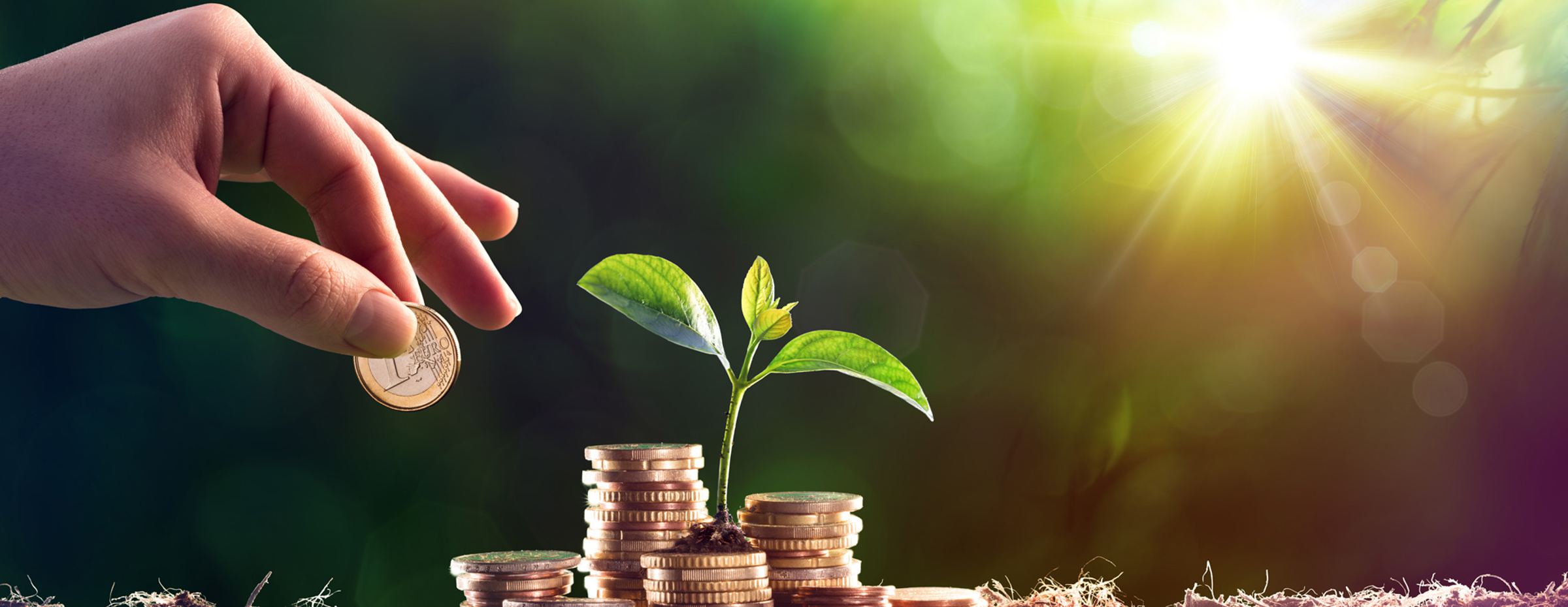 Sydinvest udbetaler 2,3 mia. kr. i udbytte