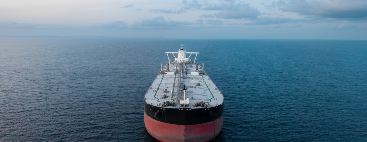 Shutterstock 2641855853