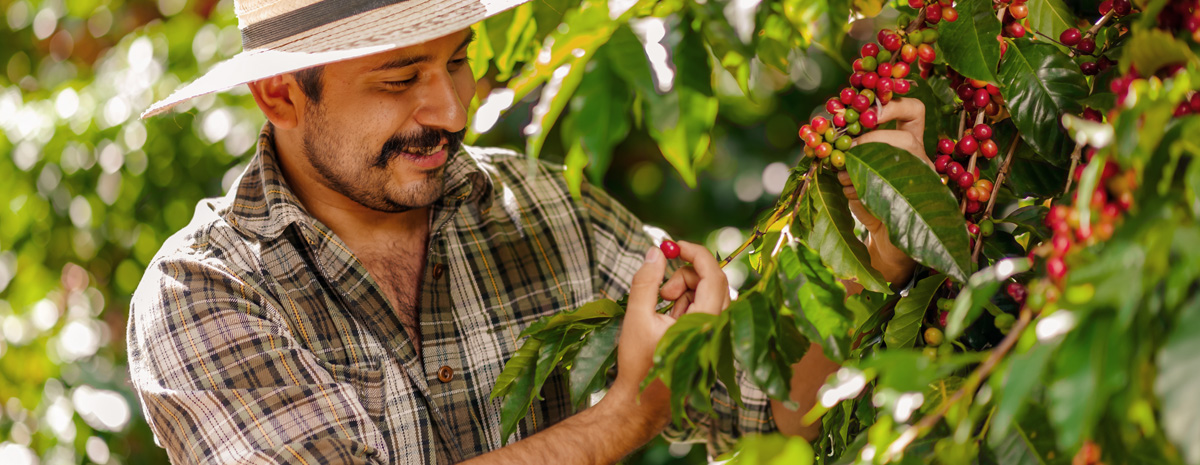 Forårsstemning på markederne