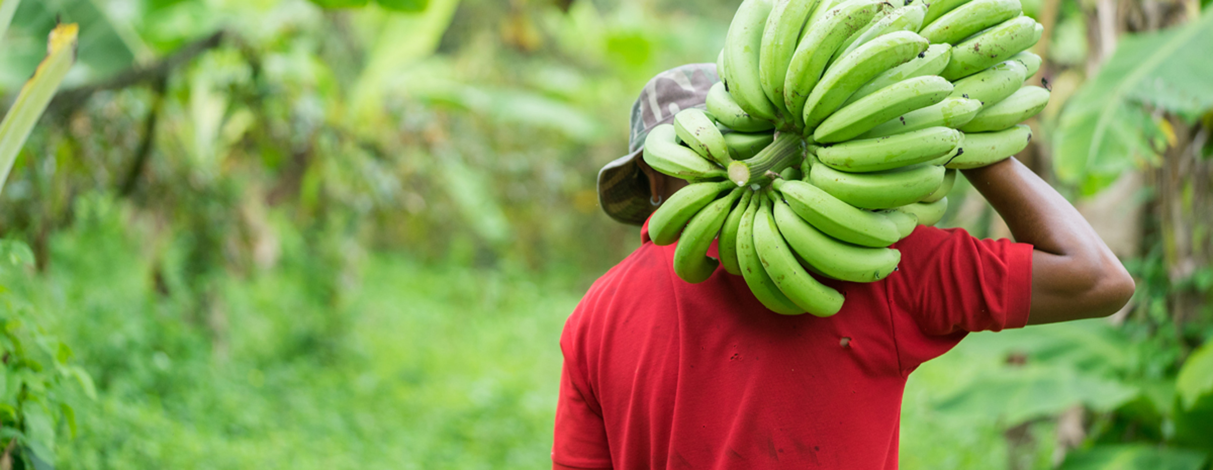 Trump og toldsatser: Hvad betyder det for Emerging Markets i 2025?