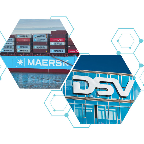 DSV2.jpg
