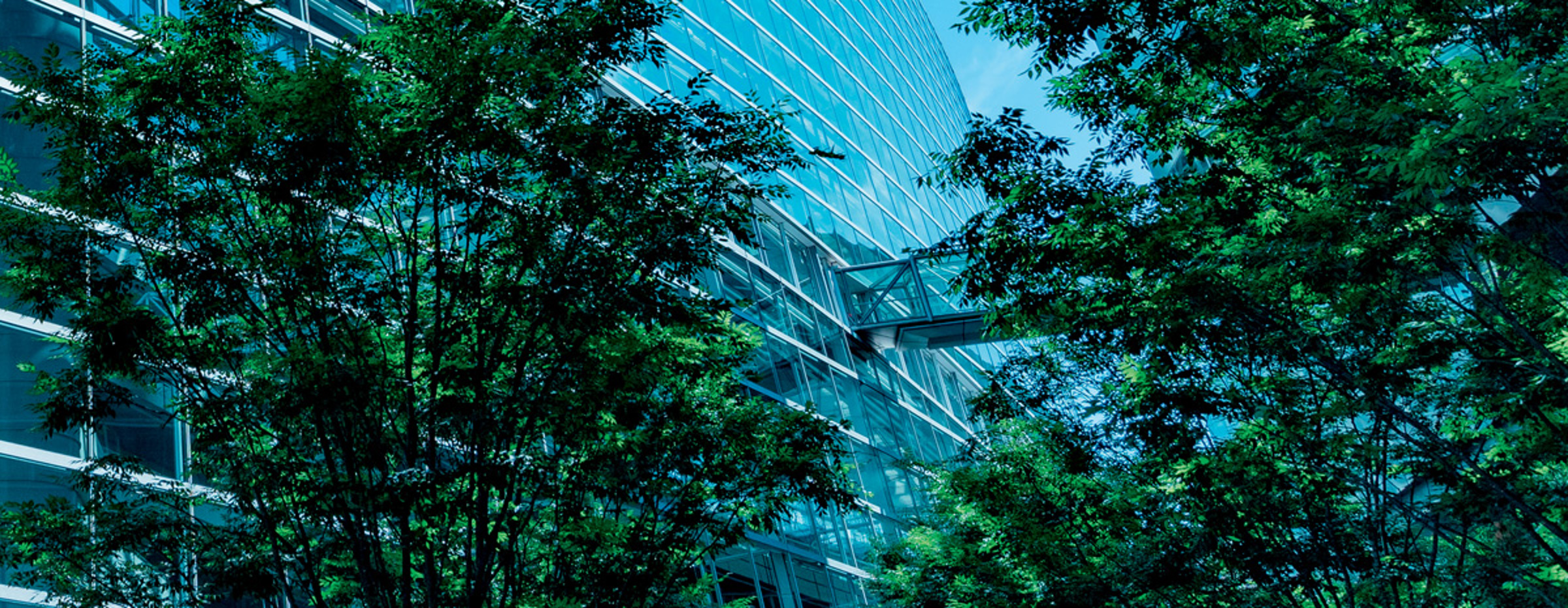 Nye EU-regler om bæredygtige investeringer