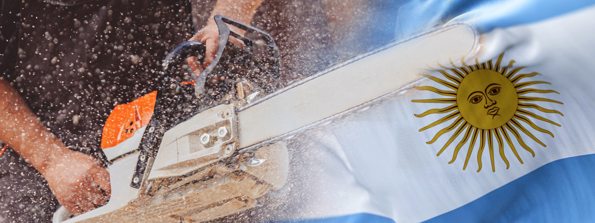 Motorsav Argentina Flag