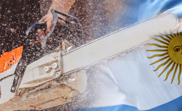 Motorsavspræsidenten vinder midtvejsvalget