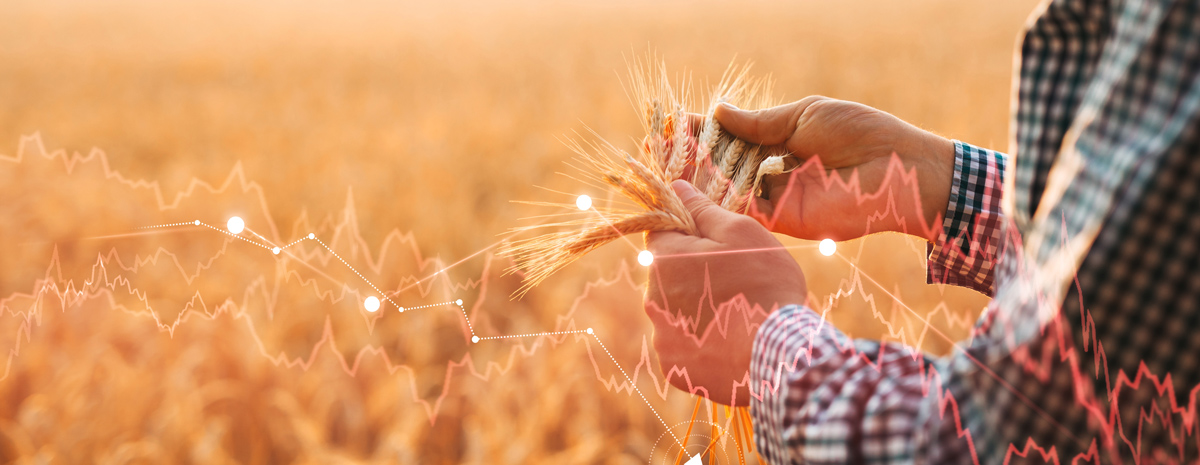 Inflation, renteforhøjelser og recessionsfrygt præger højrentelandene