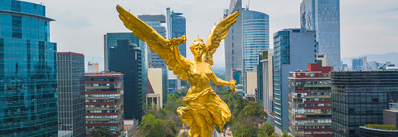 Shutterstock 1066463744