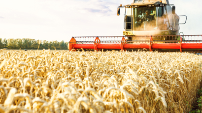 Flere lande skæver uroligt til hvedepriserne