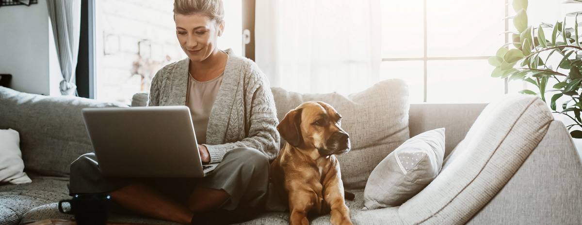 Sommermåned gav positive afkast