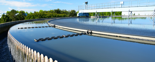 Kan politikerne holde fokus på bæredygtighed?