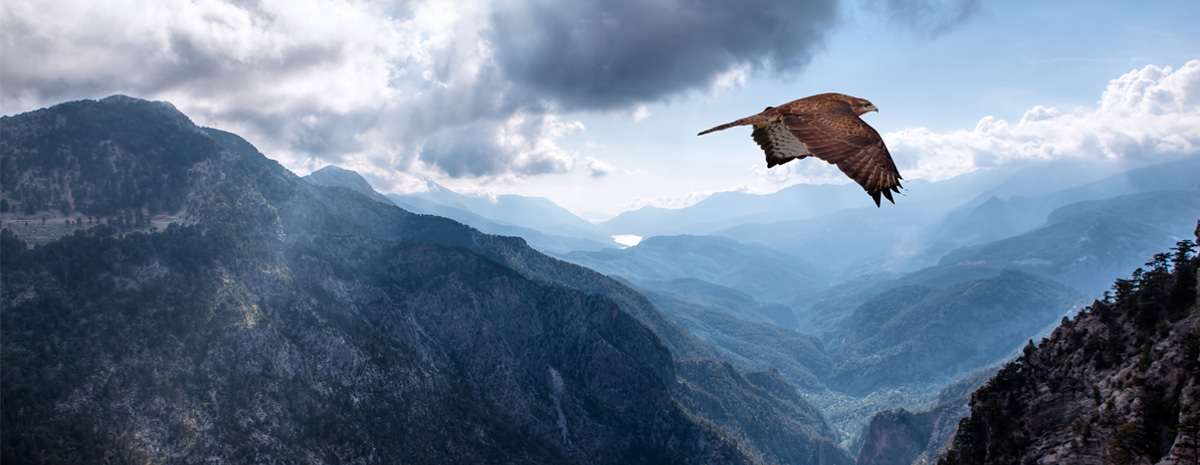 Øget fokus på inflationsbekæmpelse