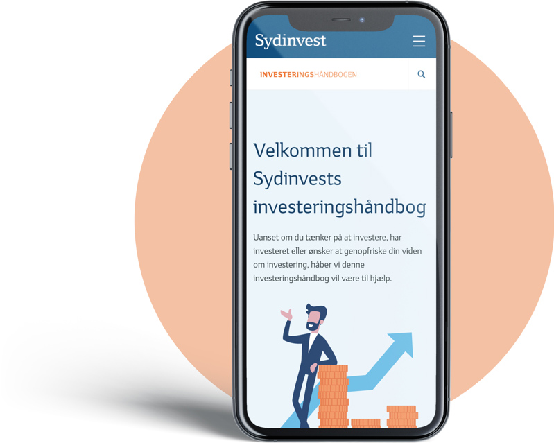 Indblik Invistering Stor