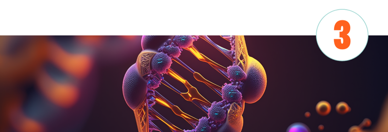 Trends Content 1200X410px – 1