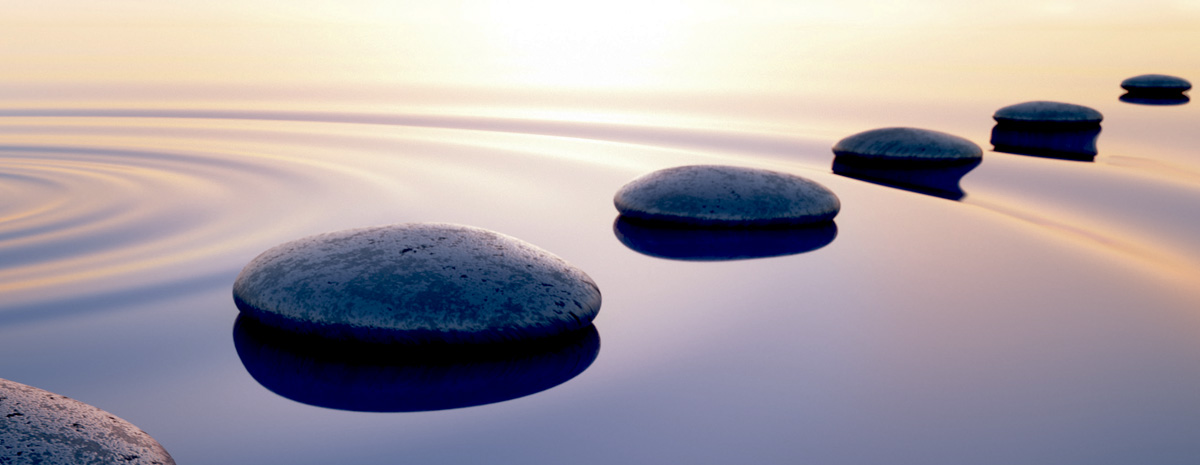 Flere og flere investorer vælger bæredygtighed