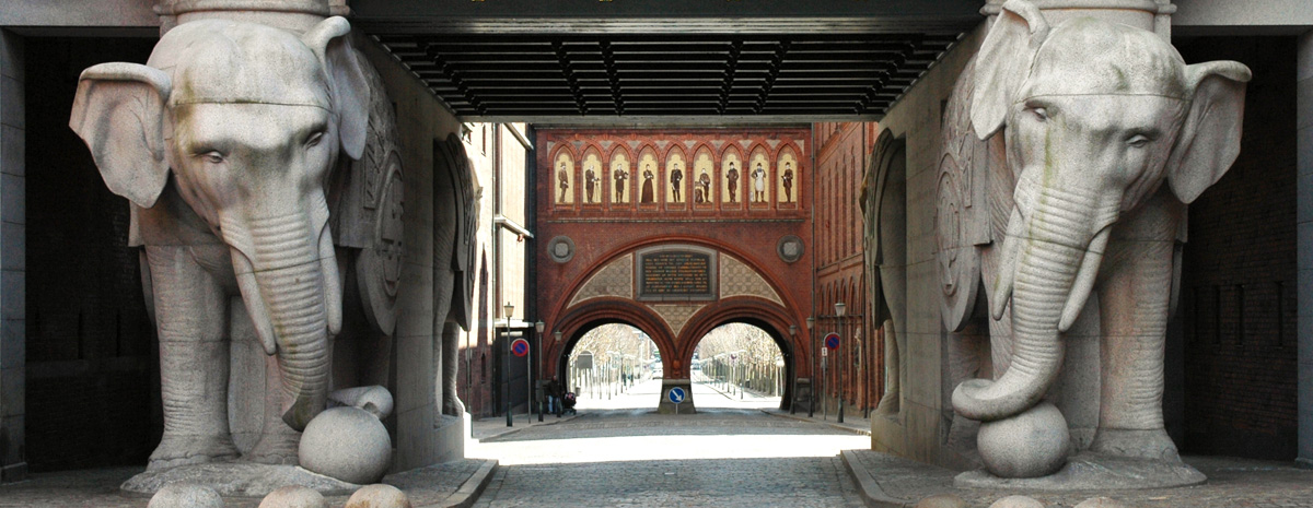 ”Kun få markeder kan følge med det danske”