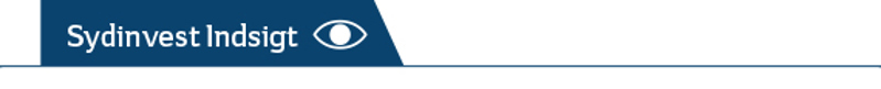 Sydinvest Indsigt