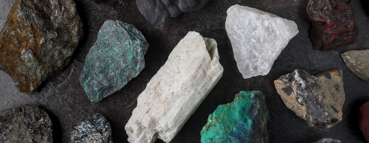 Shutterstock 2596884593